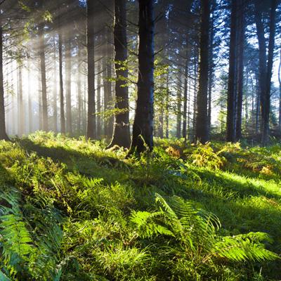 炸金花游戏app下载