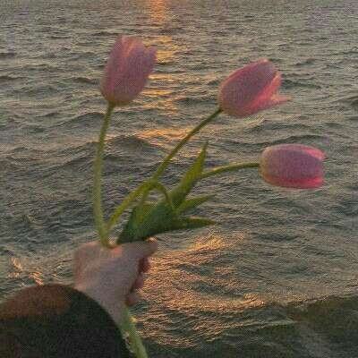 贝博app代言艾弗森