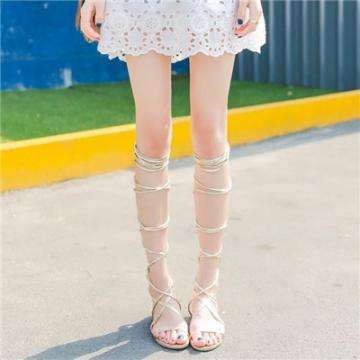 江南全站登录下载手机版